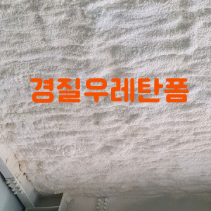 연질우레탄폼의 장점과 건기넷의 경질우…